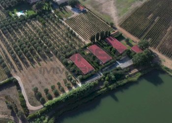 Complesso 2.jpeg - Terratetto - Terracielo greppi cupi  212, Castagneto Carducci - foto 19