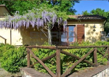 Dettagli 7.jpg - Terratetto - Terracielo via della camminata, Guardistallo - foto 7