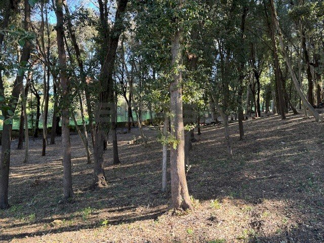 IMG_2752.jpeg - Townhouse Via Ombrosa 8, Livorno - photo 3