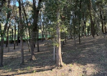 IMG_2752.jpeg - Terratetto - Terracielo Via Ombrosa 8, Livorno - foto 3