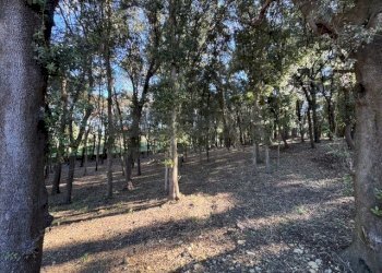 IMG_2753.jpeg - Terratetto - Terracielo Via Ombrosa 8, Livorno - foto 4