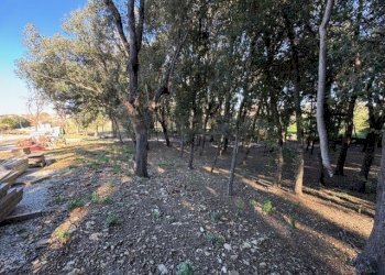 IMG_2754.jpeg - Terratetto - Terracielo Via Ombrosa 8, Livorno - foto 5