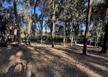 IMG_2756.jpeg - Terratetto - Terracielo Via Ombrosa 8, Livorno - foto 7