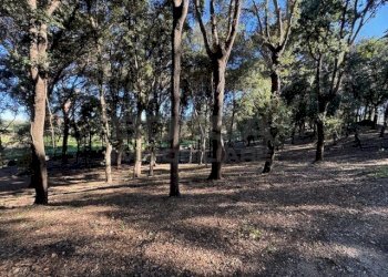 IMG_2757.jpeg - Terratetto - Terracielo Via Ombrosa 8, Livorno - foto 8