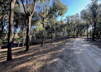 IMG_2758.jpeg - Terratetto - Terracielo Via Ombrosa 8, Livorno - foto 9