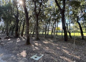 IMG_2759.jpeg - Terratetto - Terracielo Via Ombrosa 8, Livorno - foto 10