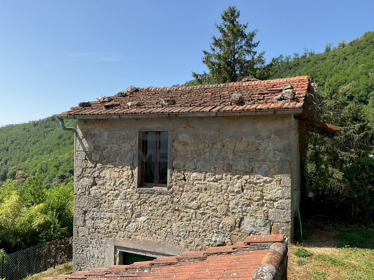 IMG-20250701-WA0038.jpg - Rustico via case geri e selvapiana, Pistoia - foto 1