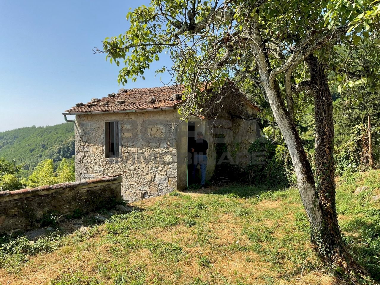 IMG-20250701-WA0040.jpg - Rustico via case geri e selvapiana, Pistoia - foto 3