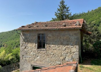 IMG-20250701-WA0038.jpg - Rustico via case geri e selvapiana, Pistoia - foto 1