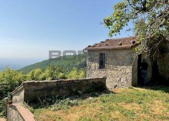 IMG-20250701-WA0039.jpg - Rustico via case geri e selvapiana, Pistoia - foto 2