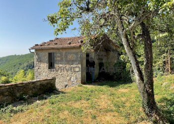 IMG-20250701-WA0040.jpg - Rustico via case geri e selvapiana, Pistoia - foto 3