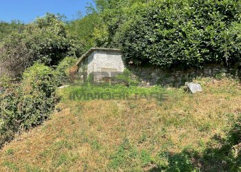 IMG-20250701-WA0041.jpg - Rustico via case geri e selvapiana, Pistoia - foto 4