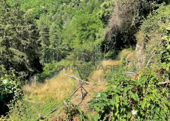 IMG-20250701-WA0042.jpg - Rustico via case geri e selvapiana, Pistoia - foto 5