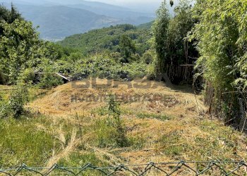 IMG-20250701-WA0046.jpg - Rustico via case geri e selvapiana, Pistoia - foto 8