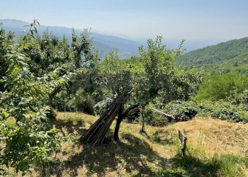 IMG-20250701-WA0050.jpg - Rustico via case geri e selvapiana, Pistoia - foto 12