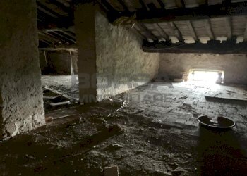 IMG-20250701-WA0004.jpg - Rustico via case geri e selvapiana, Pistoia - foto 15