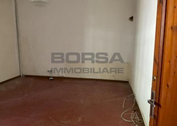 IMG-20250701-WA0008.jpg - Rustico via case geri e selvapiana, Pistoia - foto 19