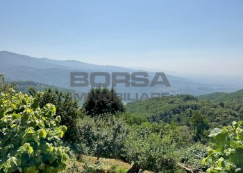 IMG-20250701-WA0013.jpg - Rustico via case geri e selvapiana, Pistoia - foto 24