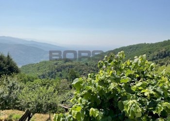 IMG-20250701-WA0014.jpg - Rustico via case geri e selvapiana, Pistoia - foto 25