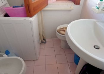 IMG_20250411_152836.jpg - Trilocale Ragusa - foto 12