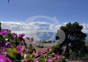 IMG_5549.JPG - Monolocale Viale dei Pepi 13, Ospedaletti - foto 22