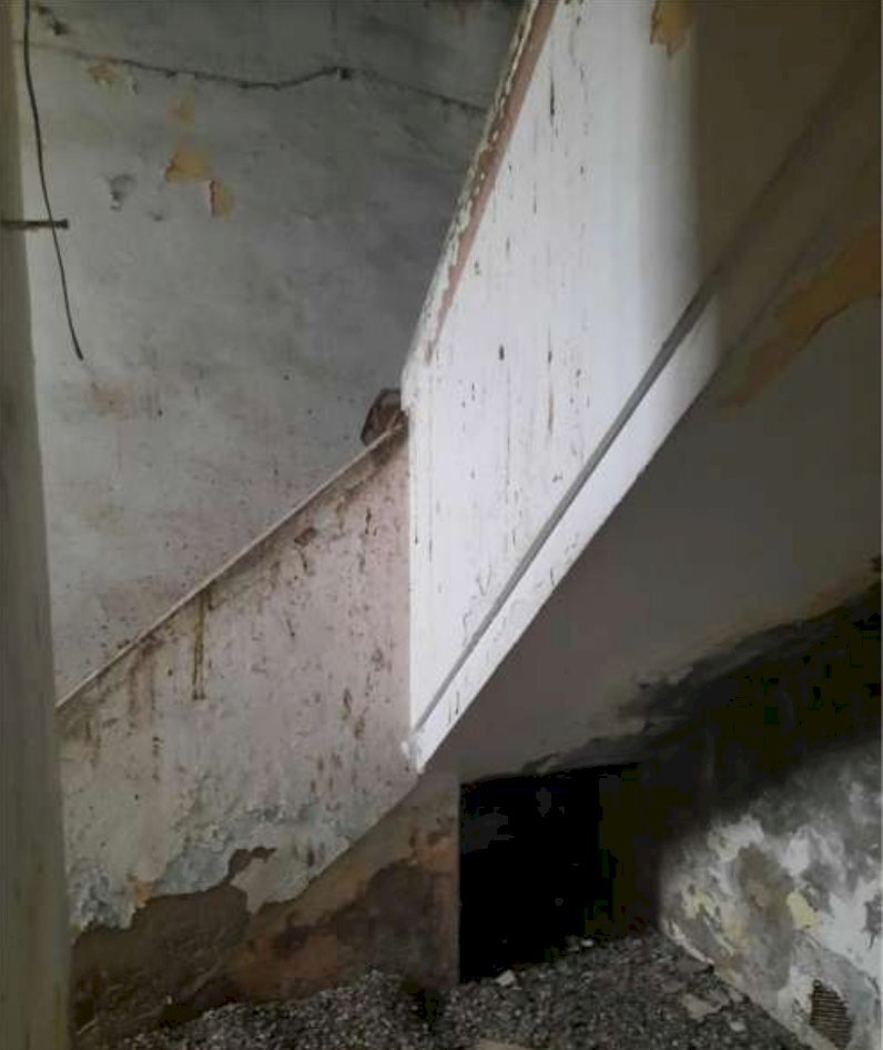 bbb.png - Porzione di casa Forlì - foto 2