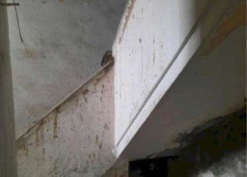 bbb.png - Porzione di casa Forlì - foto 2