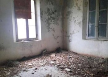 ddd.png - Porzione di casa Forlì - foto 4