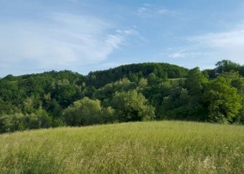 la guarda 5.jpg - Bilocale Via della Guarda 10, Loiano - foto 7