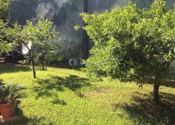 d8e70aab-2fd1-475b-b48a-75113a73e427.jpg - Appartamento via san giacomo 92, Nettuno - foto 21