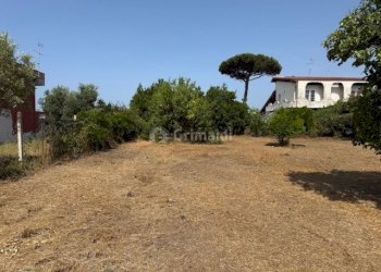 IMG_5719.jpg - Terreno edificabile Via Viminale, Nettuno - foto 1