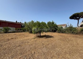 IMG_5727.jpg - Terreno edificabile Via Viminale, Nettuno - foto 9