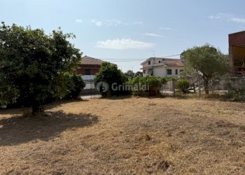 IMG_5729.jpg - Terreno edificabile Via Viminale, Nettuno - foto 11