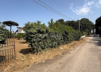 IMG_5735.jpg - Terreno edificabile Via Viminale, Nettuno - foto 17