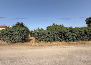 IMG_5736.jpg - Terreno edificabile Via Viminale, Nettuno - foto 18