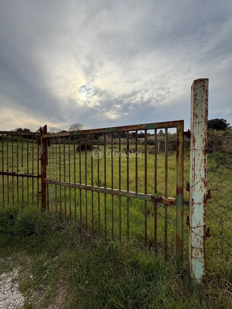 IMG_4576.jpg - Terreno edificabile VIA CENTOCELLE 1, Anzio - foto 1
