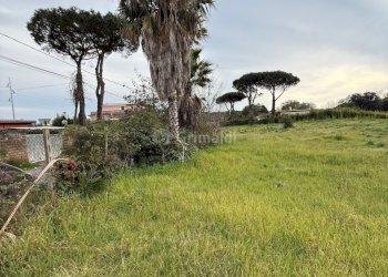 IMG_4581.jpg - Terreno edificabile VIA CENTOCELLE 1, Anzio - foto 6