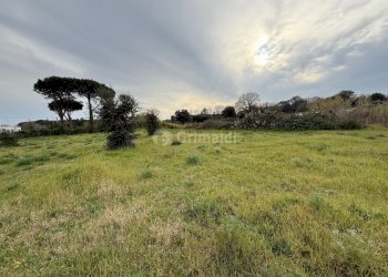 IMG_4585.jpg - Terreno edificabile VIA CENTOCELLE 1, Anzio - foto 10