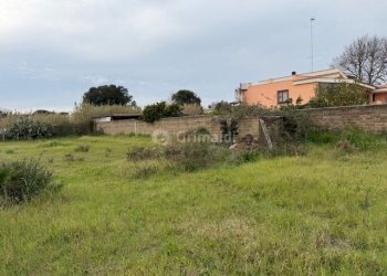 IMG_4589.jpg - Terreno edificabile VIA CENTOCELLE 1, Anzio - foto 14