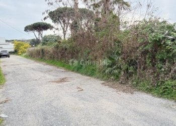 IMG_4593.jpg - Terreno edificabile VIA CENTOCELLE 1, Anzio - foto 18