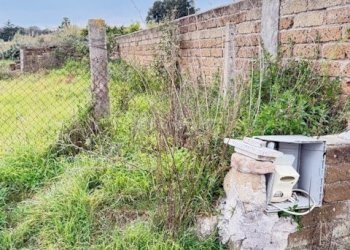 IMG_4595.jpg - Terreno edificabile VIA CENTOCELLE 1, Anzio - foto 20