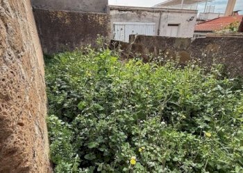 IMG_4385.jpg - Magazzino Viale Guglielmo Marconi 229, Anzio - foto 7