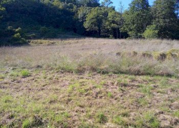 WhatsApp Image 2025-09-11 at 15.39.28 (1).jpeg - Terratetto - Terracielo Campo Benedetto 1, Varese Ligure - foto 9