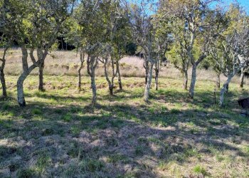 WhatsApp Image 2025-09-11 at 15.39.29.jpeg - Terratetto - Terracielo Campo Benedetto 1, Varese Ligure - foto 13