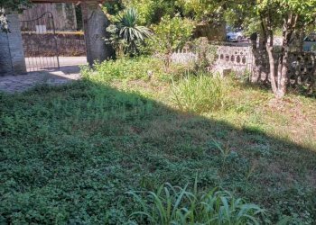 WhatsApp Image 2025-09-02 at 10.34.31.jpeg - Villa Borghetto di Vara - foto 11