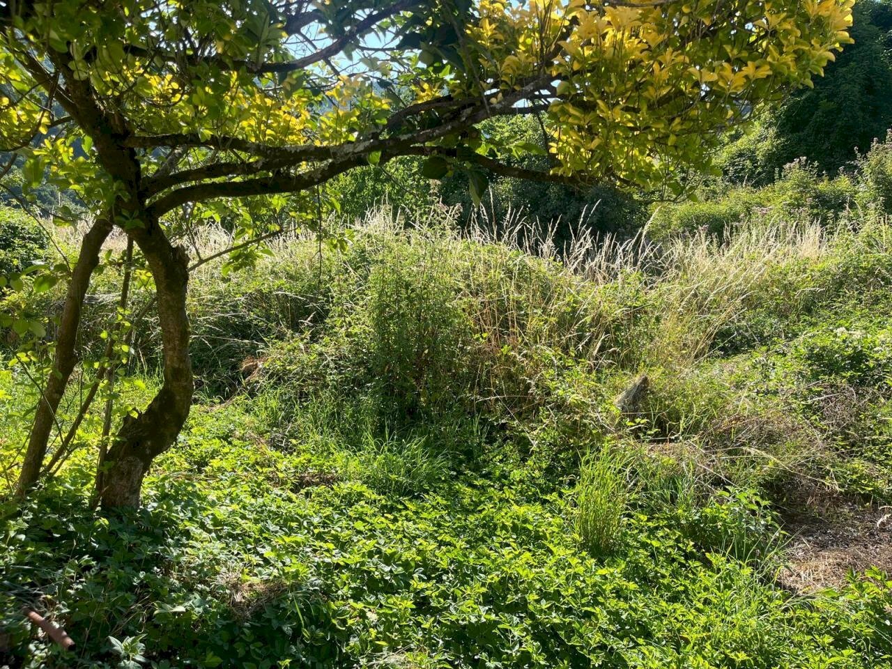 WhatsApp Image 2025-07-21 at 12.10.32 (1).jpeg - Portion of a house Via IV Novembre 20, Maissana - photo 2