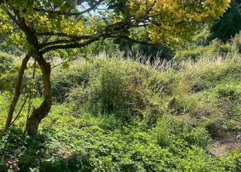 WhatsApp Image 2025-07-21 at 12.10.32 (1).jpeg - Portion of a house Via IV Novembre 20, Maissana - photo 2