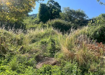 WhatsApp Image 2025-07-21 at 12.10.32.jpeg - Portion of a house Via IV Novembre 20, Maissana - photo 4