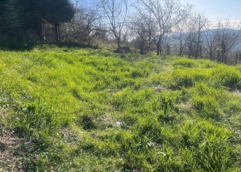 WhatsApp Image 2025-02-07 at 18.04.18 (2).jpeg - Hotel - Accommodation facility Via Giacomo Leopardi 10, Carro - photo 15