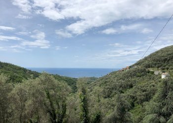 WhatsApp Image 2022-06-01 at 10.51.01.jpeg - Casale Via Costigliolo, Cogorno - foto 12